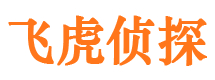 平乡市私家侦探公司